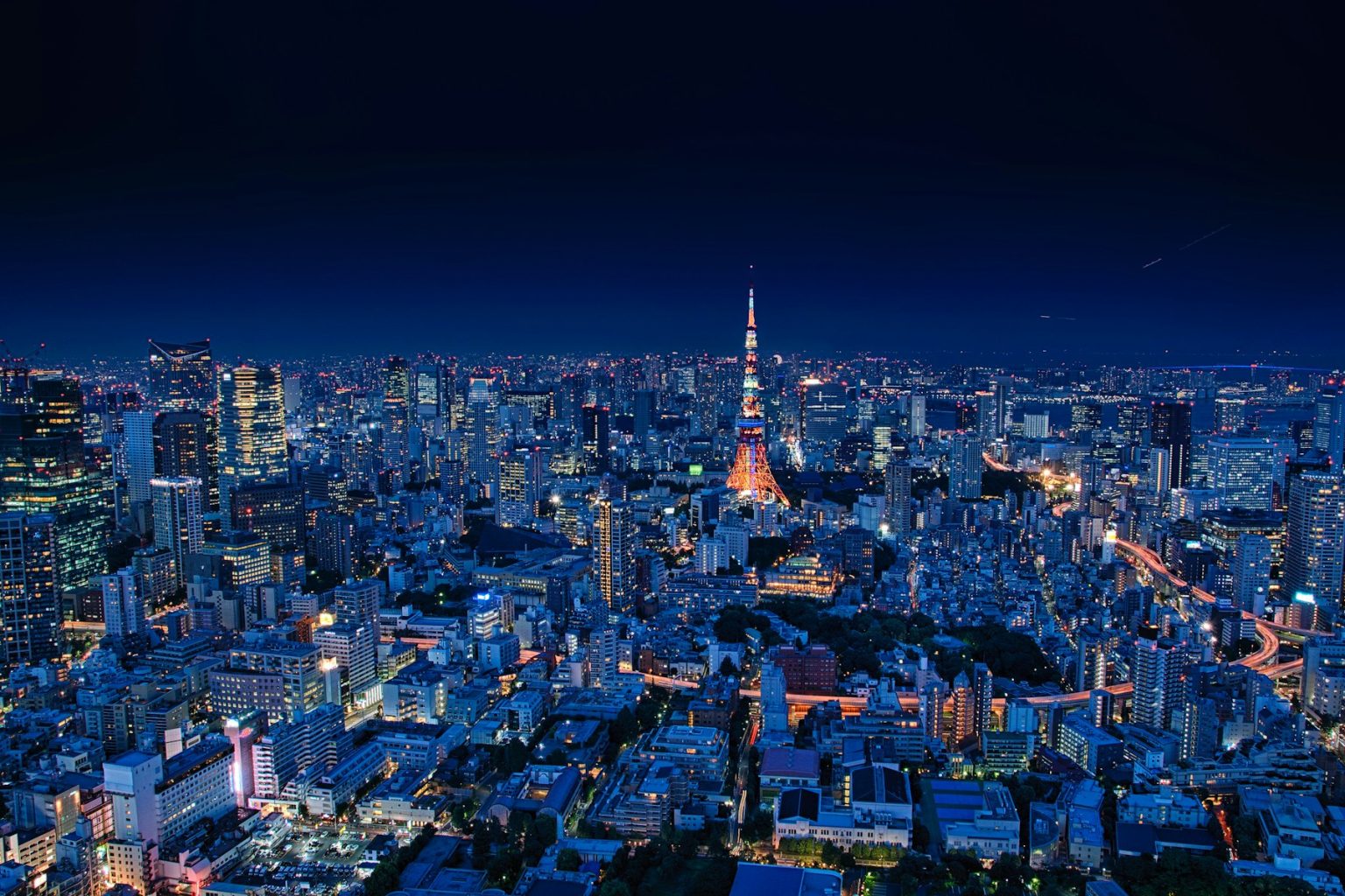 夜の街に東京タワーが灯る、高い場所から見た都心の夜景