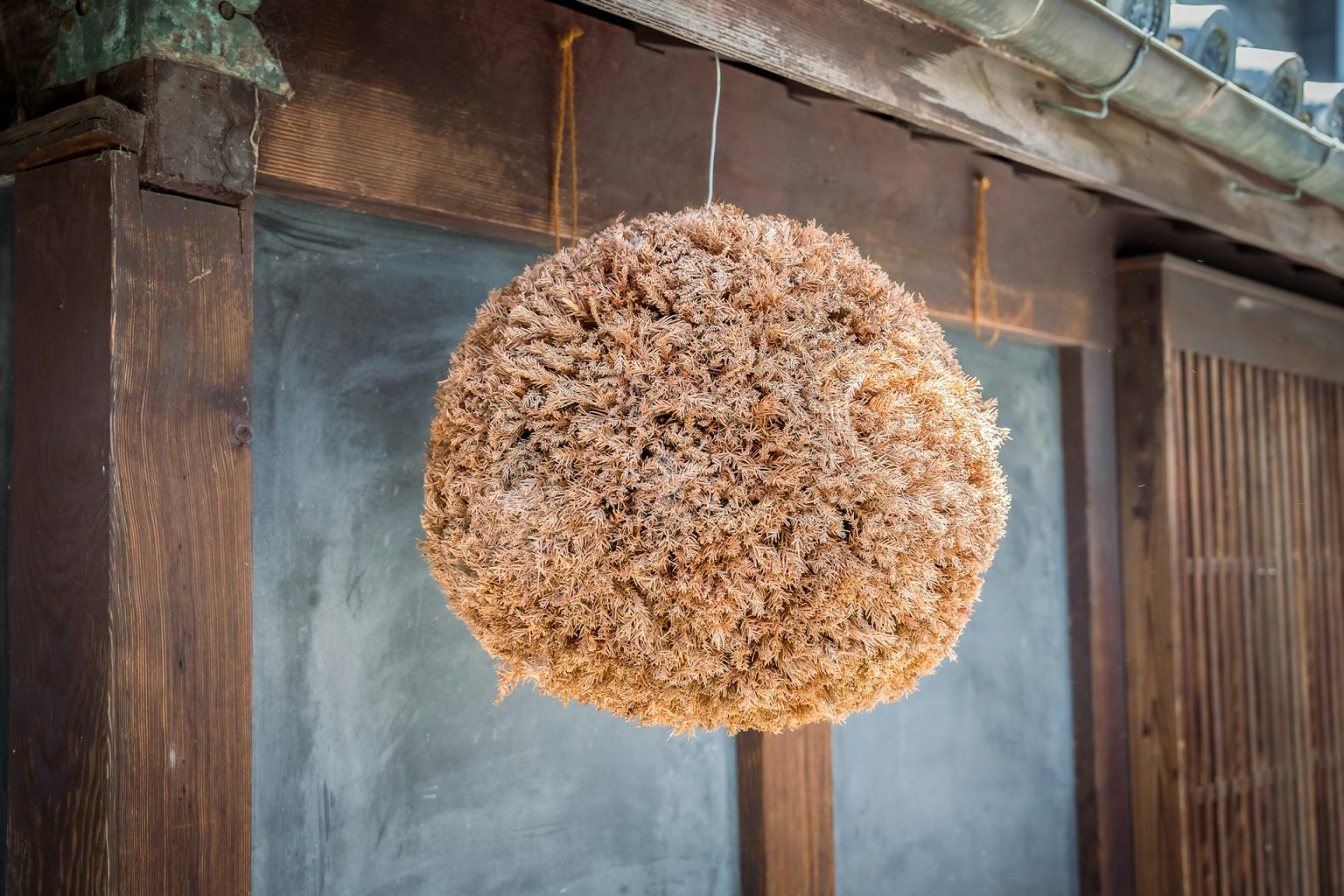 蔵の軒先に吊るされた杉玉