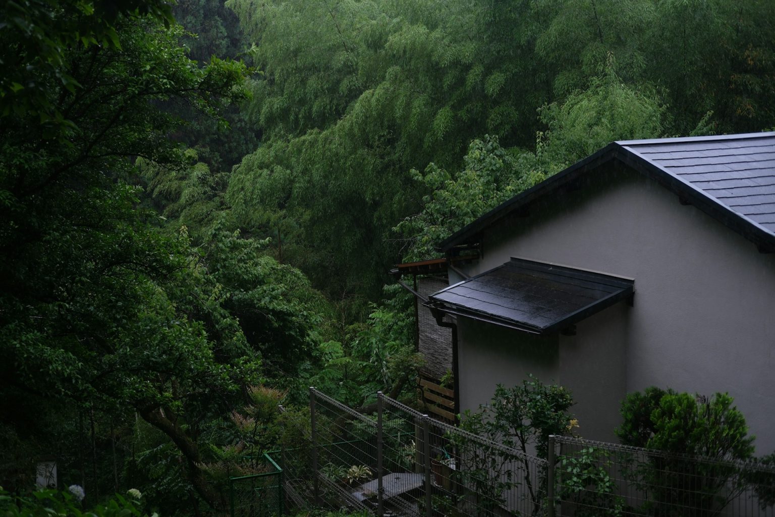 木々に囲まれた、金属屋根の家