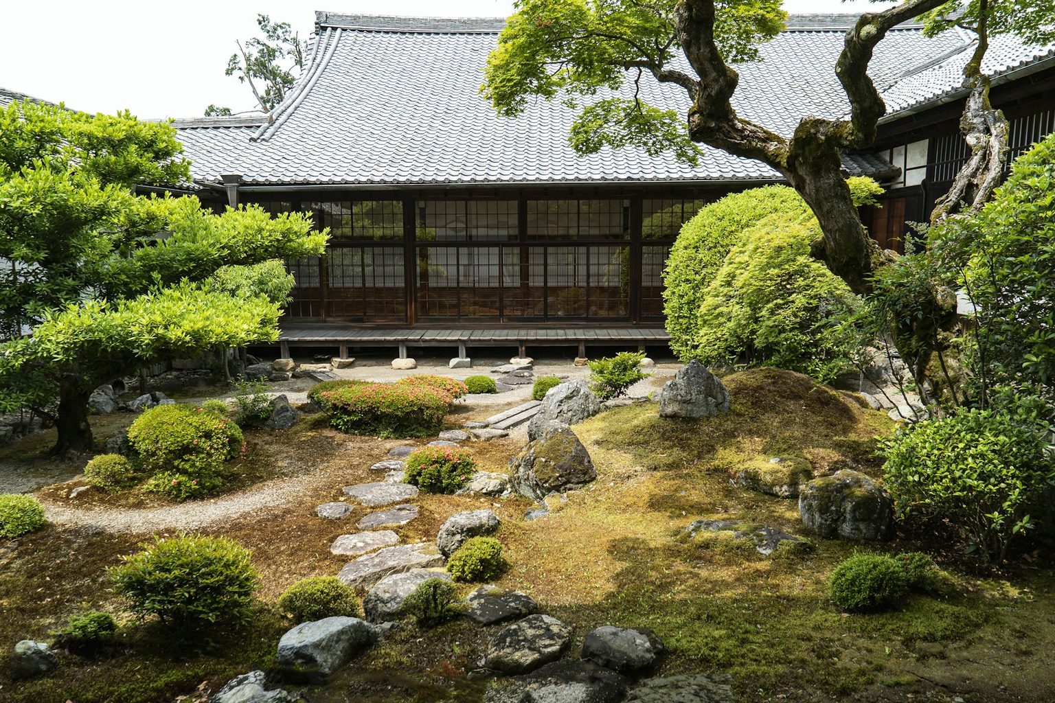 松と庭石のある寺の庭
