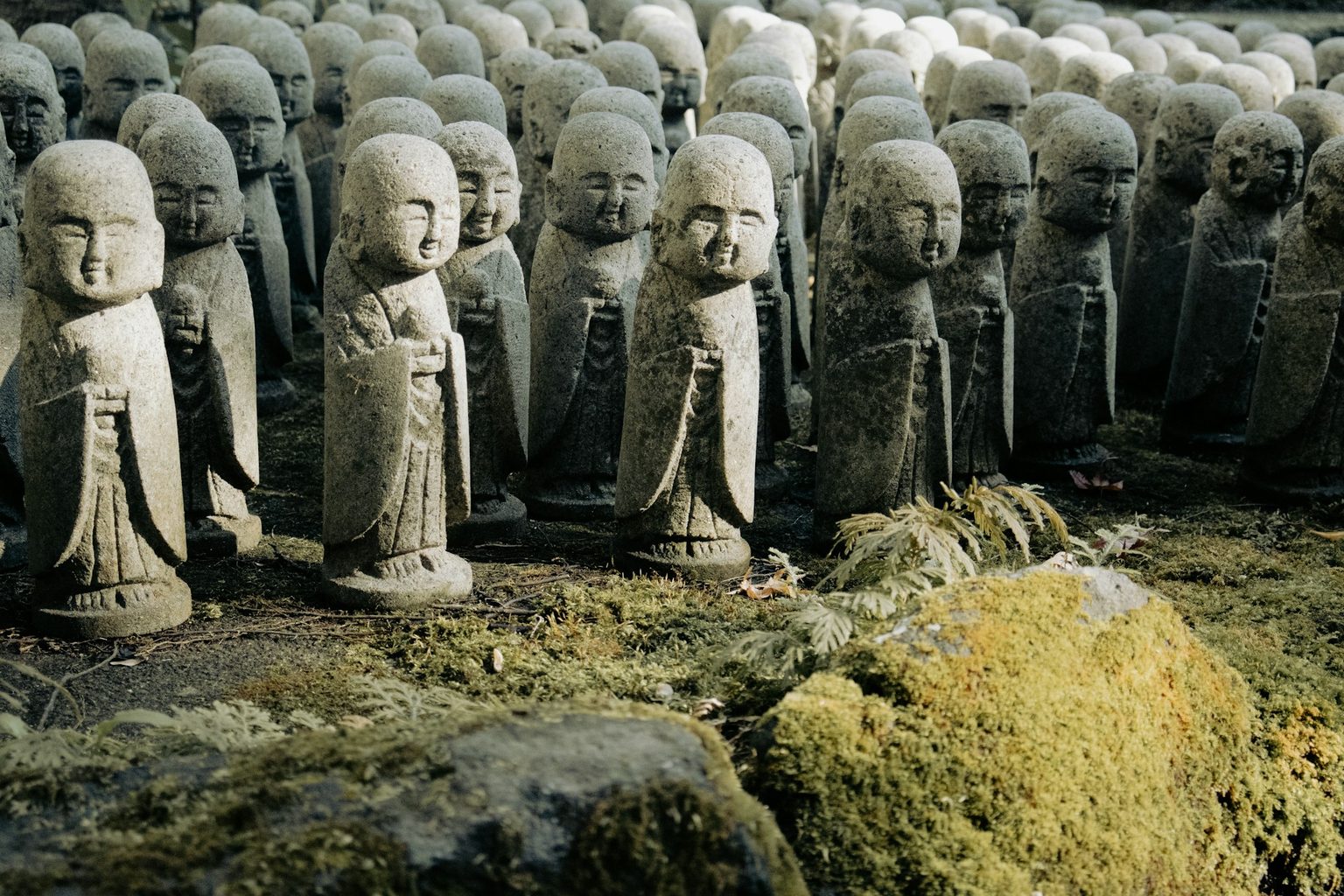 苔の上に並ぶ小さなお地蔵さま