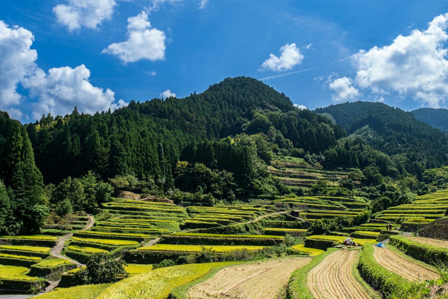 山の斜面に広がる棚田