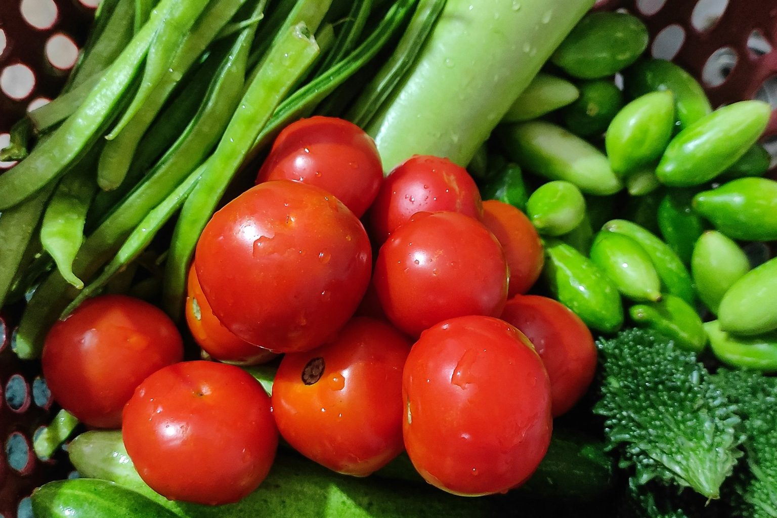採れたてのトマトと夏野菜