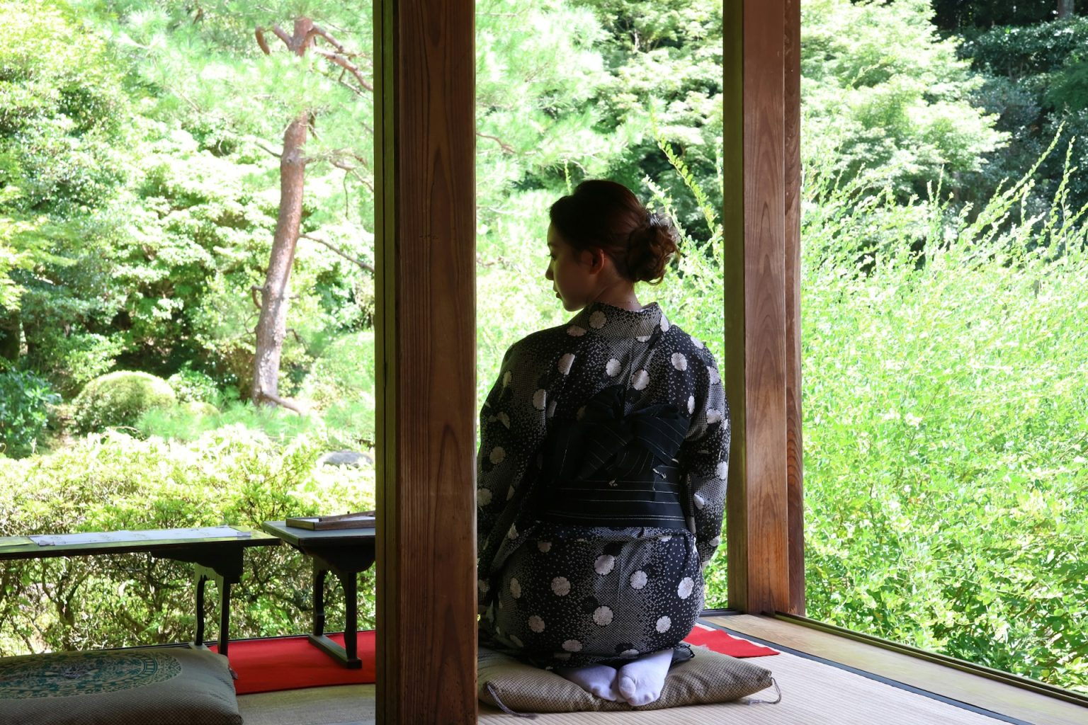 庭に面した縁側に座る、着物姿の女性の後ろ姿